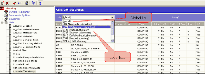 File:Global Local.png